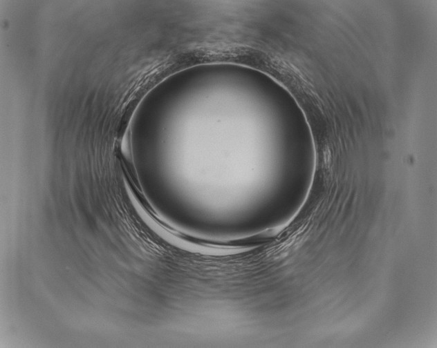 X0000089861300200706281241