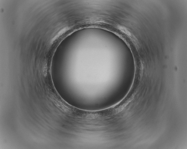 X0000089861306200706281241