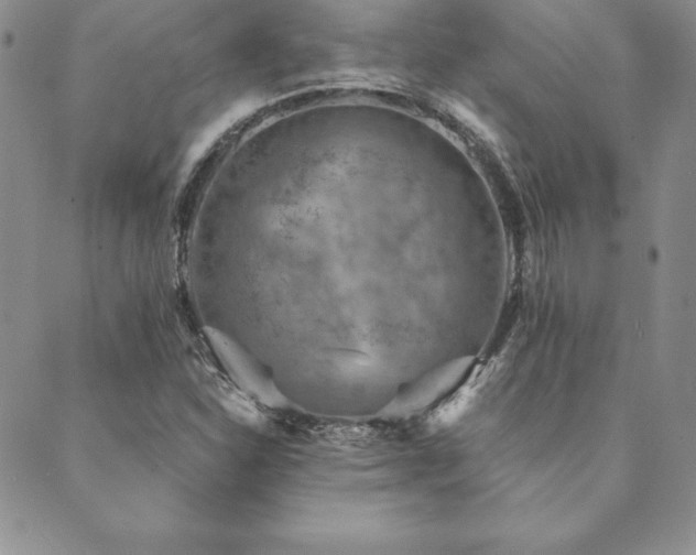 X0000089861310200706281241