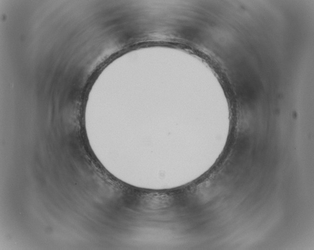 X0000089861314200706281241