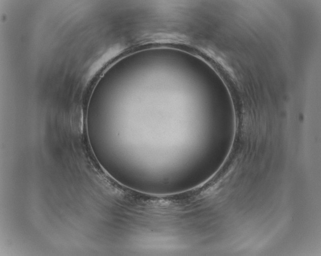 X0000089861317200706281241