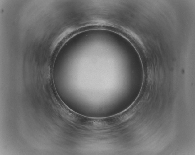 X0000089861318200706281241