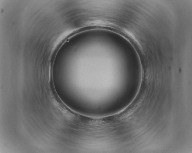 X0000089861323200706281241