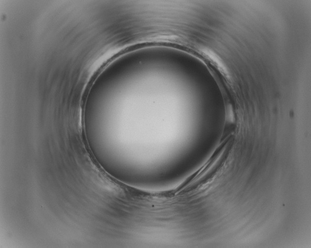 X0000089861324200706281241