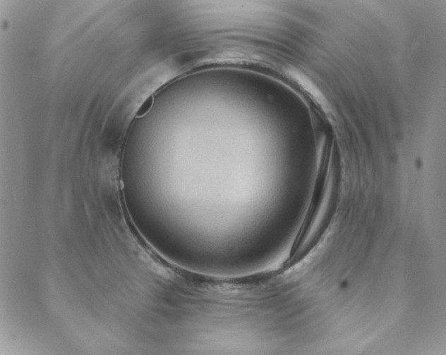X0000089861329200706281241