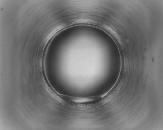 X0000089861330200706281241