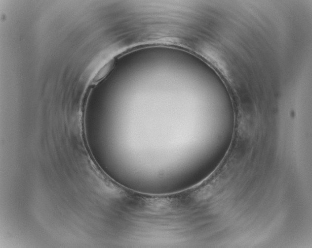 X0000089861332200706281241