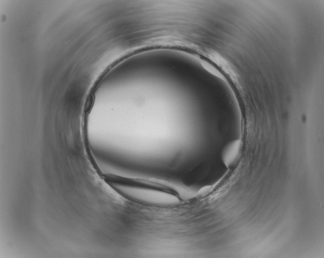 X0000089861334200706281241