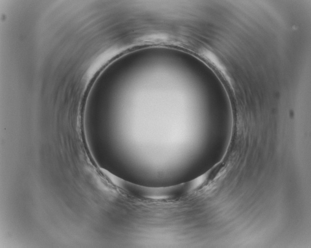 X0000089861336200706281241