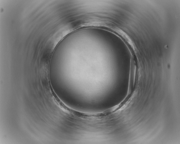 X0000089861337200706281241