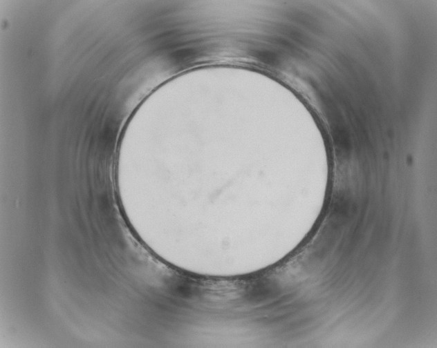 X0000089861338200706281241