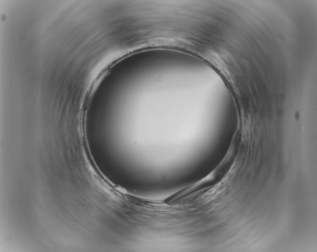 X0000089861342200706281241