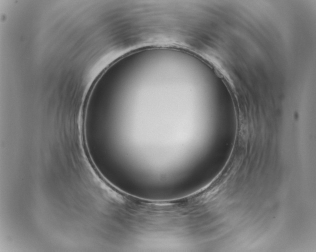 X0000089861343200706281241