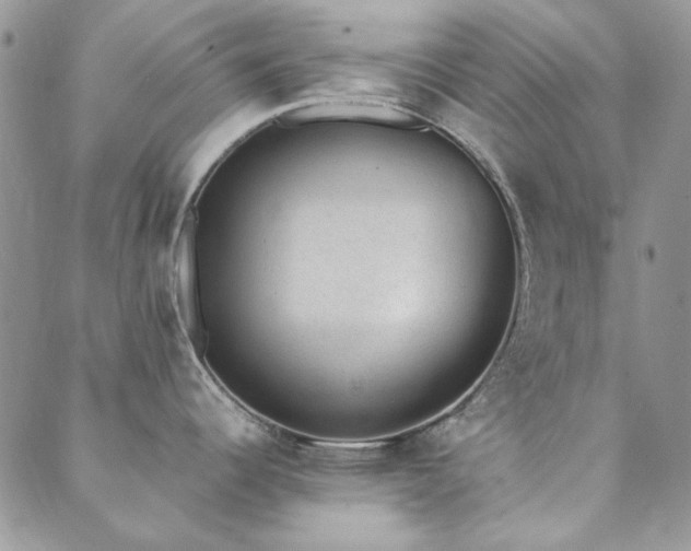 X0000089861344200706281241