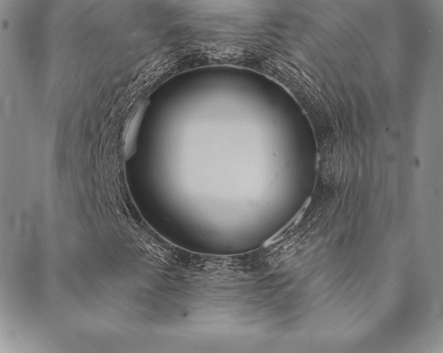 X0000089861345200706281240
