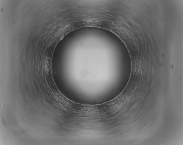X0000089861346200706281240