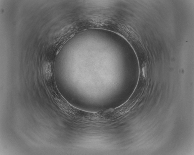 X0000089861347200706281240