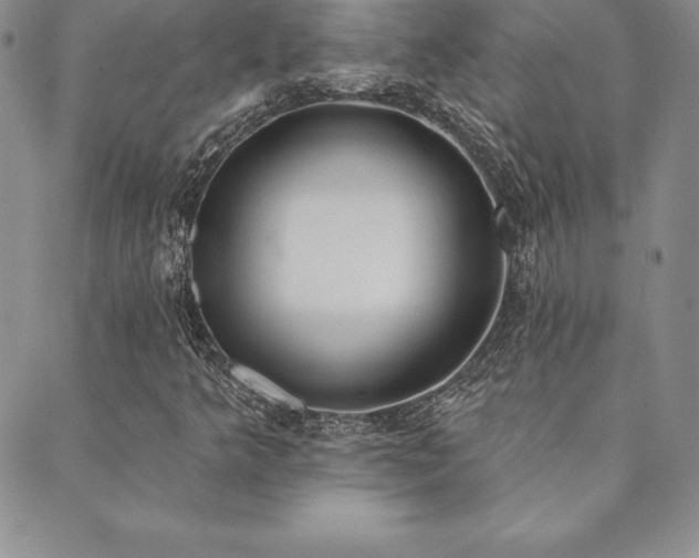 X0000089861349200706281240