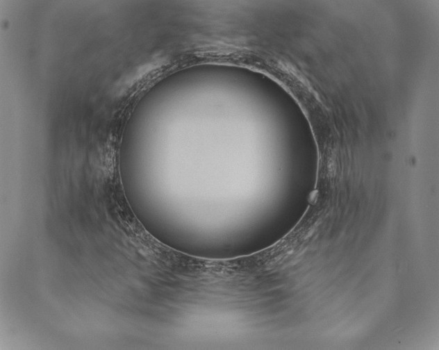 X0000089861350200706281240