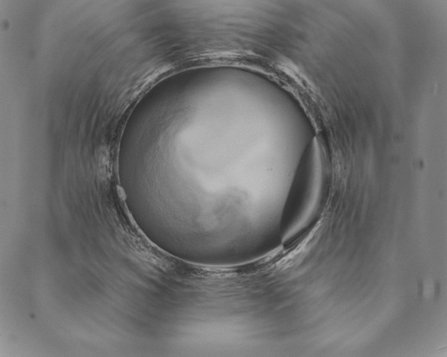 X0000089861353200706281240