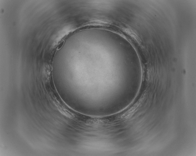 X0000089861355200706281240