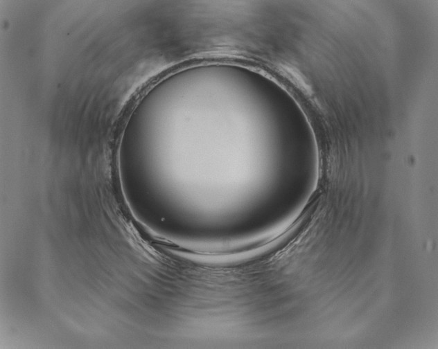 X0000089861356200706281240