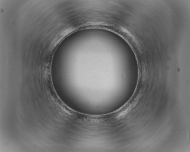 X0000089861361200706281240
