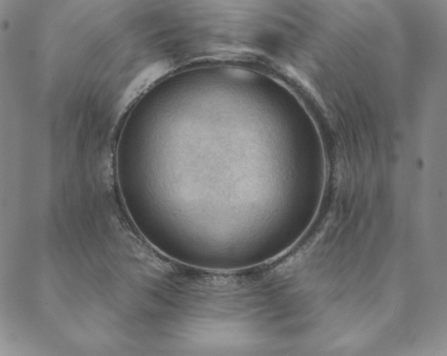 X0000089861362200706281240