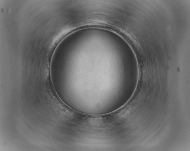 X0000089861363200706281240