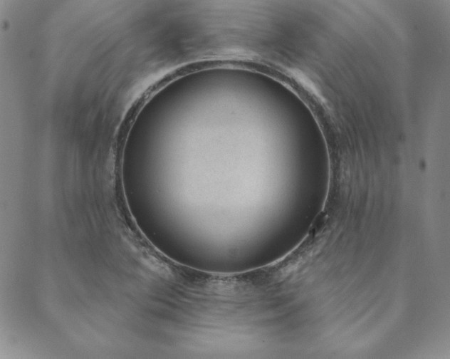 X0000089861364200706281240