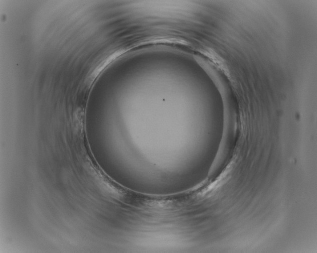 X0000089861369200706281240