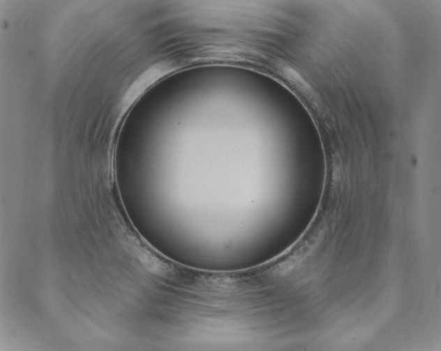 X0000089861370200706281240