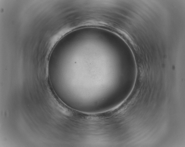 X0000089861371200706281240