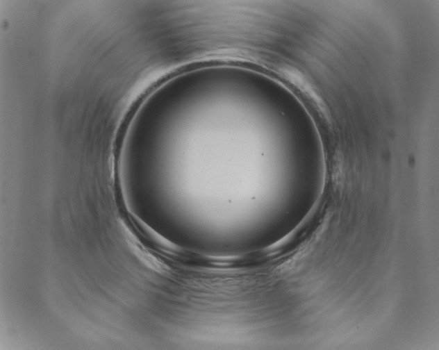 X0000089861372200706281240