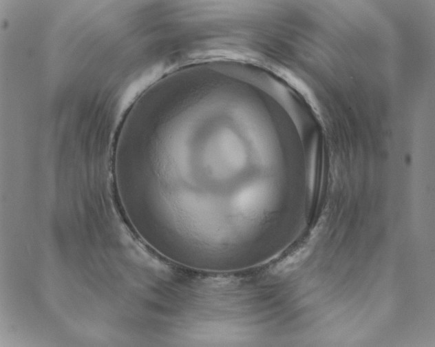 X0000089861373200706281240