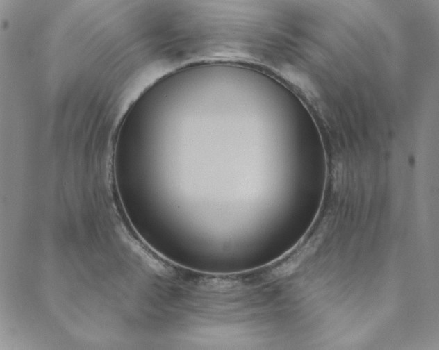 X0000089861374200706281240