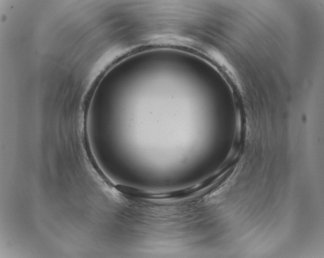 X0000089861376200706281240