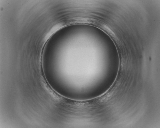 X0000089861378200706281240