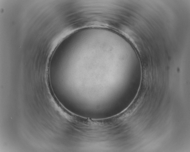 X0000089861379200706281240