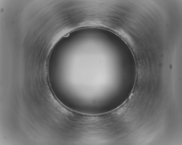 X0000089861382200706281240