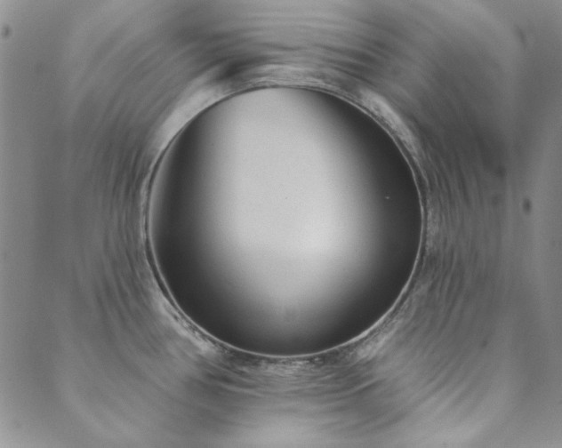 X0000089861386200706281240