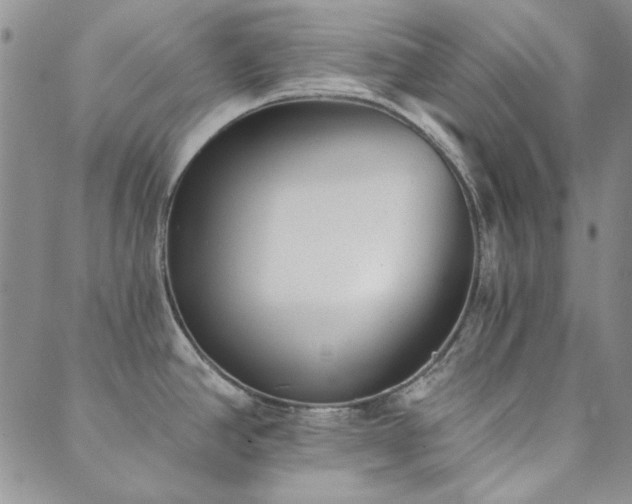X0000089861390200706281240
