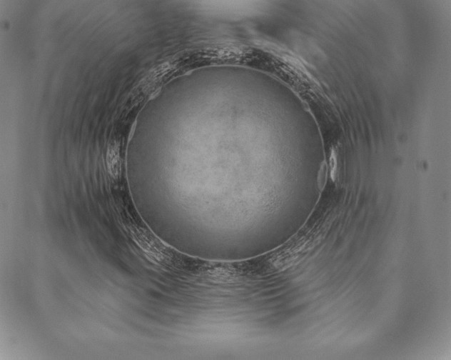 X0000089861395200706281239