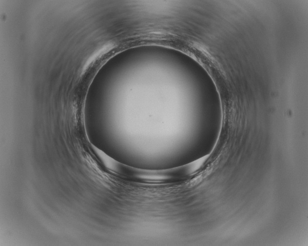 X0000089861402200706281239