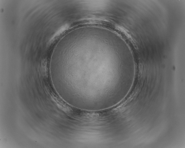 X0000089861403200706281239