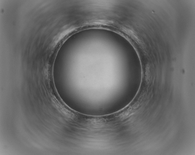 X0000089861404200706281239