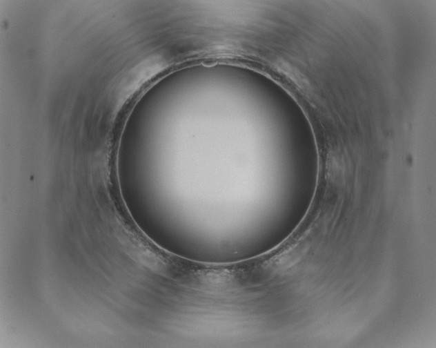 X0000089861410200706281239