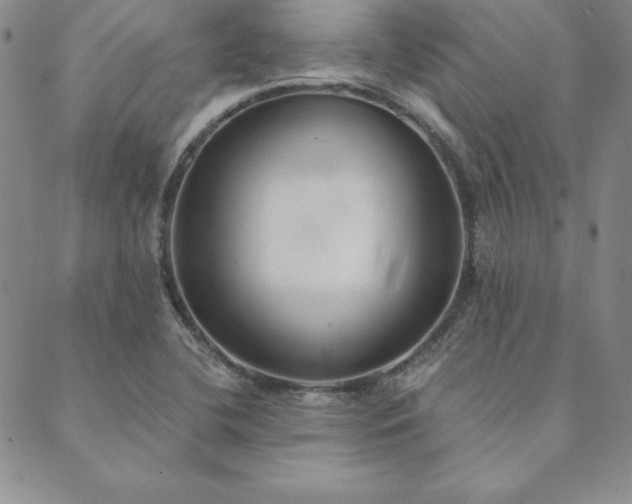 X0000089861412200706281239