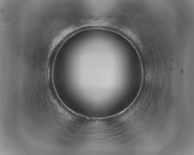 X0000089861414200706281239