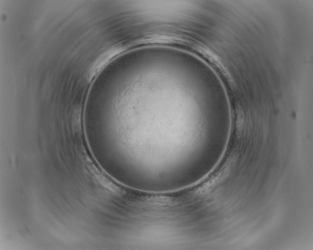 X0000089861417200706281239